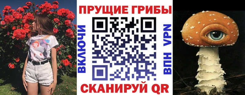 купить наркоту  mega ссылки  Галлюциногенные грибы Magic Shrooms  Буйнакск 